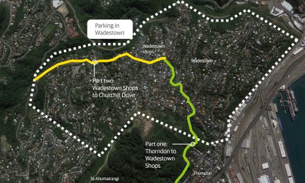 Wadestown Connections Street Changes Drop-in Sessions