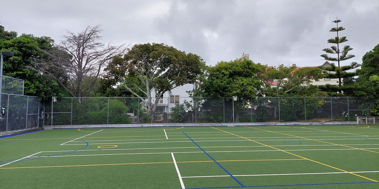 Trees Being Removed from Wellington Girls’ College