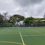 Trees Being Removed from Wellington Girls’ College