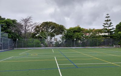 Trees Being Removed from Wellington Girls’ College