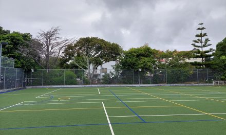 Trees Being Removed from Wellington Girls’ College